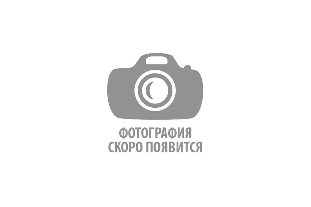 Благодарственные письма и отзывы